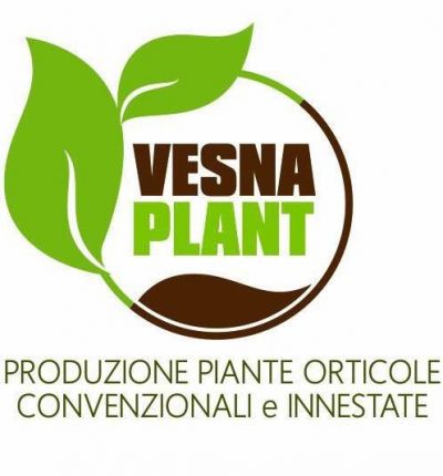 VESNA PLANT